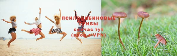 каннабис Михайловка