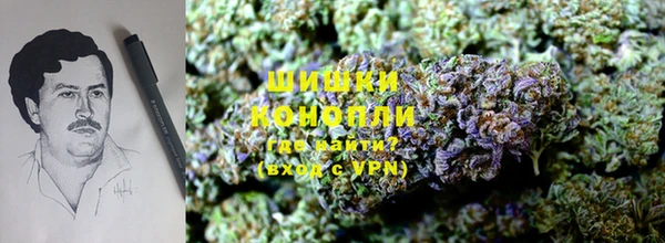 мдпв Михайловск