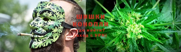 мдпв Михайловск