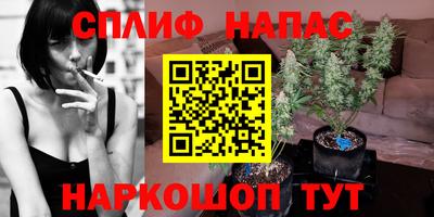 спайс Гусь-Хрустальный
