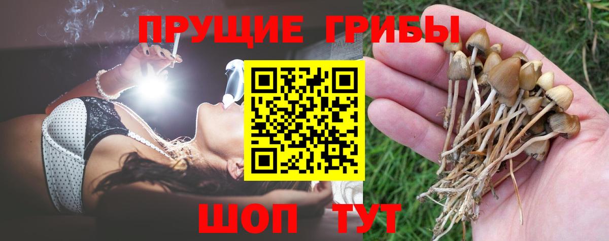 Псилоцибиновые грибы мухоморы  продажа наркотиков  Балашов  Вход с VPN 